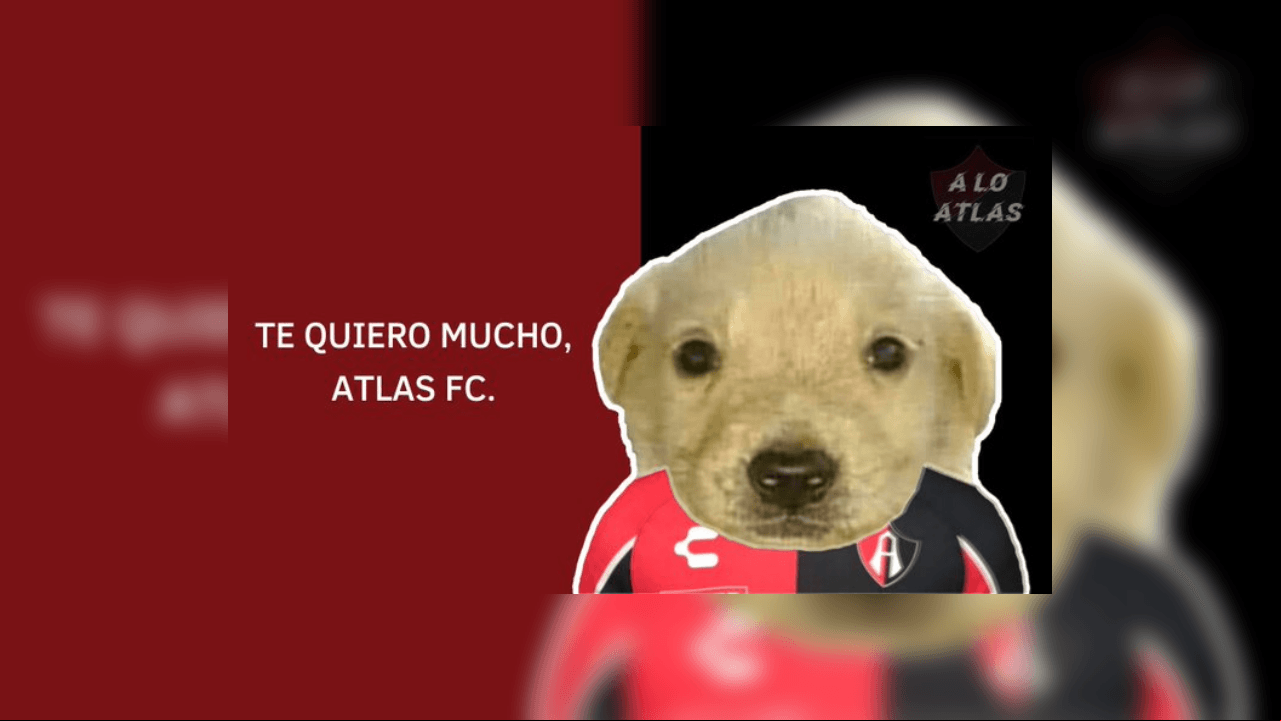 La final del Grita México Apertura 2021 se llevó a cabo entre el León y Atlas y la escuadra rojinegra logró sumar su segundo título tras 70 años sin poder lograrlo. El campeonato se decidió en penales y así los ‘zorros’ fueron los tundidos también por los memes.