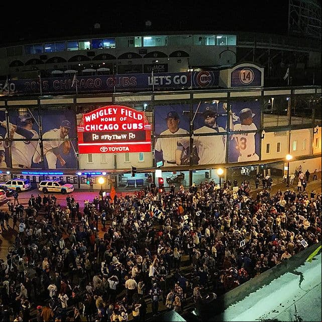 Fanáticos de los Cubs demostraron su pasión por el equipo y compartieron sus fotos del triunfo en las redes sociales. Mira esta galería.