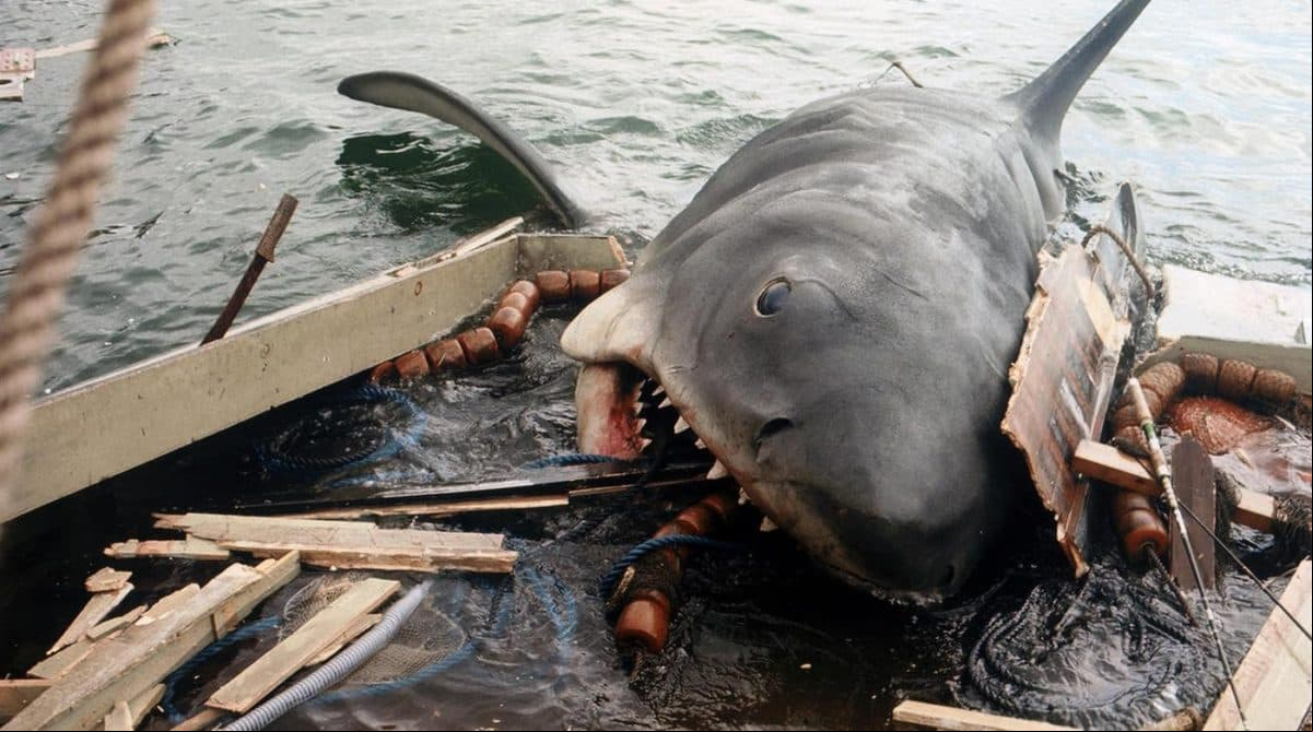 Pero un nuevo ataque del tiburón termina con la vida de un bañista. Cuando el terror se apodera de todos, un veterano cazador de tiburones, un oceanógrafo y el jefe de la policía local se unen para intentar capturar al escualo.
<br>