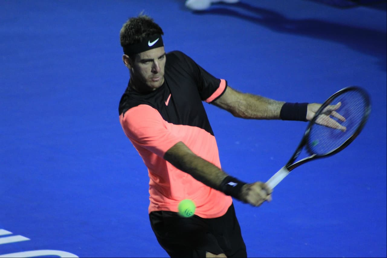 Del Potro jugó un partido inteligente y cauto, con golpes precisos y puntos en momentos clave.