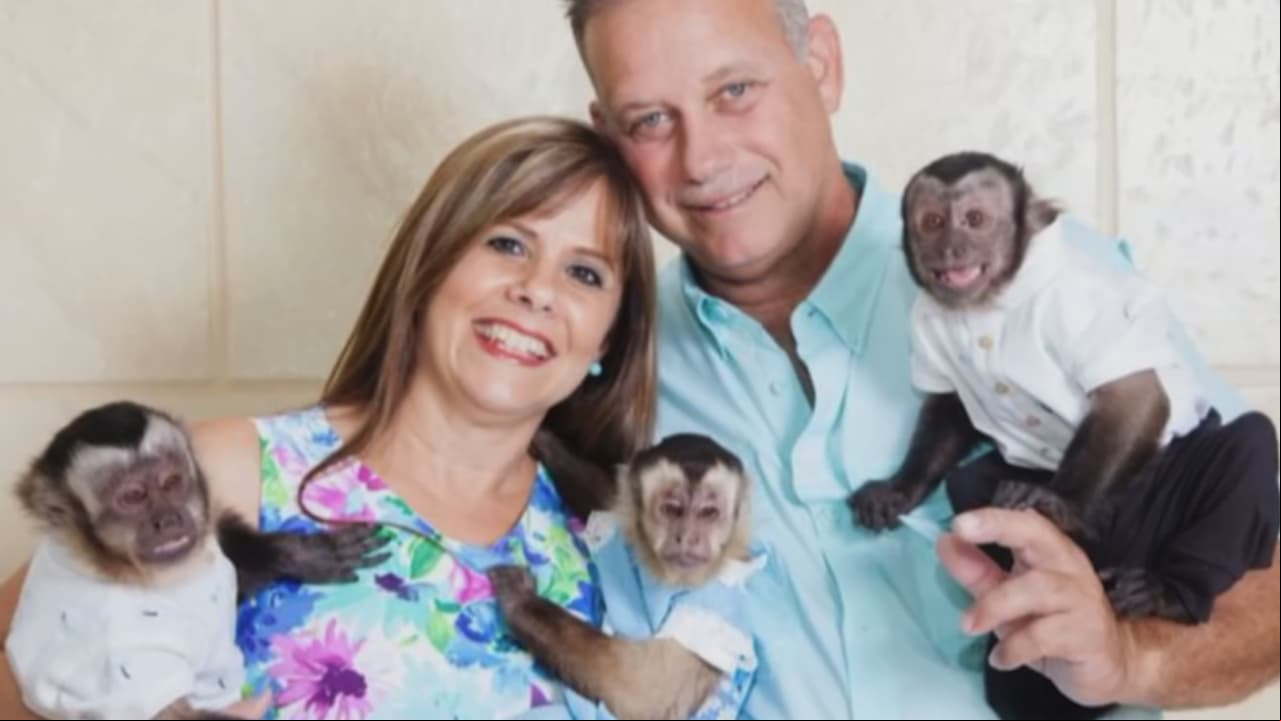 Monos, osos y hasta tigres han pasado por la casa de esta pareja de rescatistas animales. Pero sin ayuda, no podrán continuar su labor