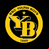 BSC Young Boys